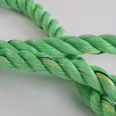 3 helai tali PP untuk peralatan pembungkusan/penetapan/penyambungan cangkuk
